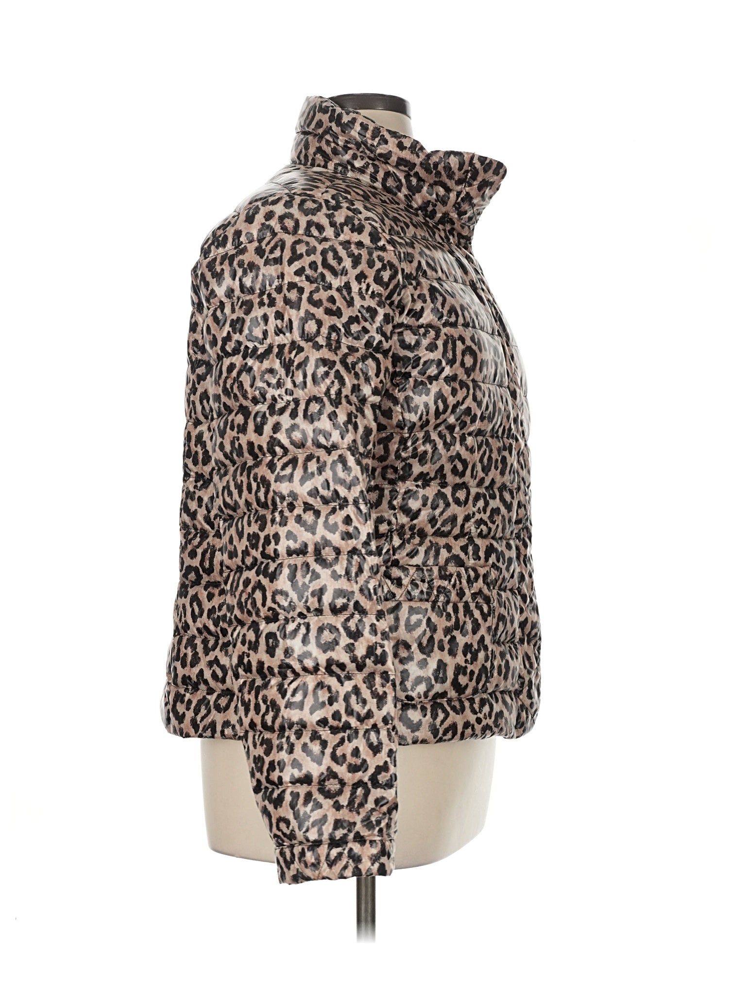 3 size - XL